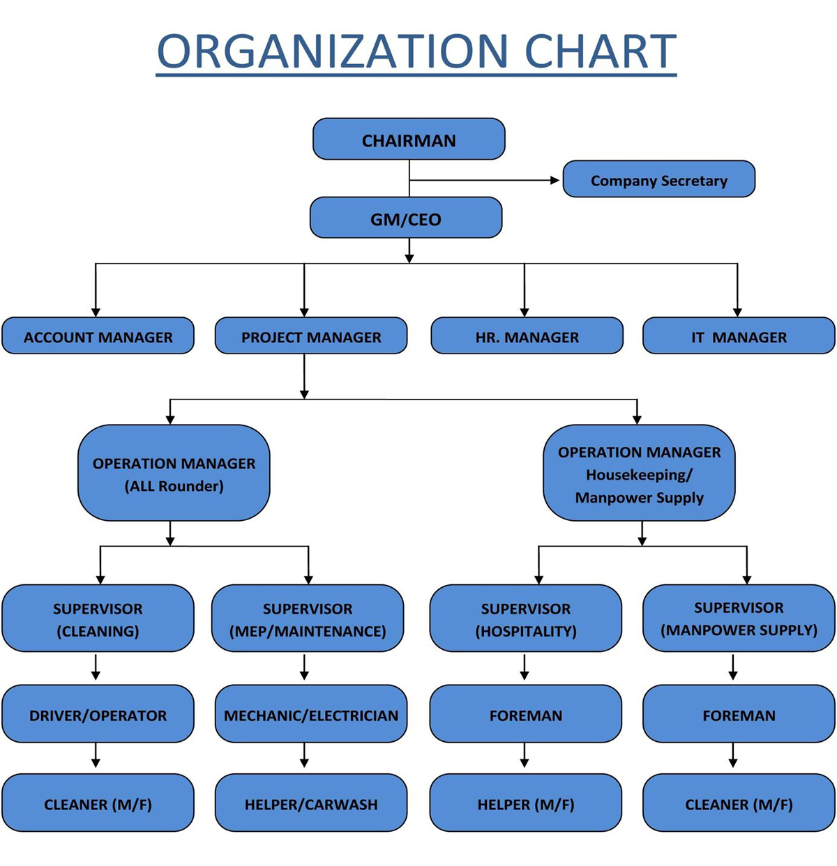 Organization Chart